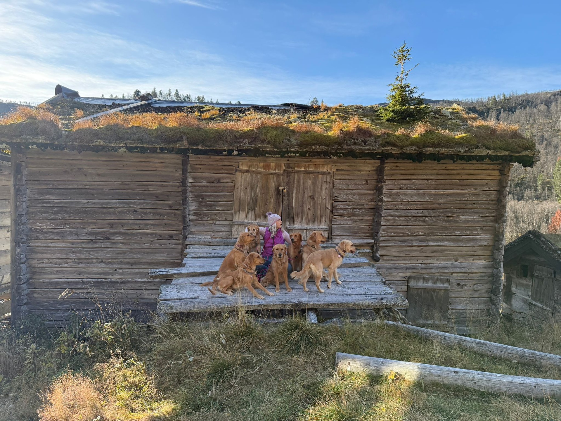 Beccy and the Golden Nine on traditional Norwegian turf cabin at Sandland, Lake Totak